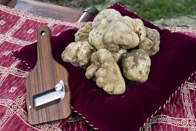 White Truffle